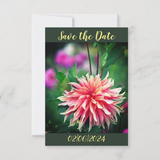 Sinaasappel en Roze Dahlia Bloem Bewaar de Datum Save The Date (Voorkant)