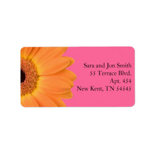 Sinaasappel en Roze Gerber Daisy Adresetiketten Etiket