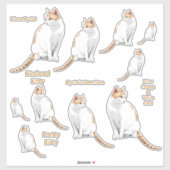 Sinaasappel en witte katten Lg Sticker Set (Vel)