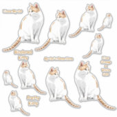 Sinaasappel en witte katten Lg Sticker Set (Voorkant)