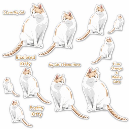 Sinaasappel en witte katten Lg Sticker Set (Voorkant)