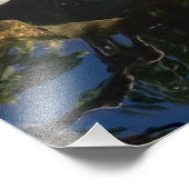 Sinaasappel en witte koi vis in San Diego Foto Afdruk (Hoek)