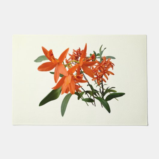 Sinaasappel Epidendrum Orchidee Deurmat (Voorkant)
