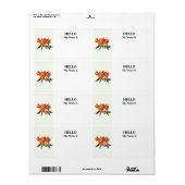 Sinaasappel Epidendrum Orchidee Etiket (Full Sheet)
