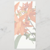 Sinaasappel Epidendrum Orchidee Menu (Achterkant)