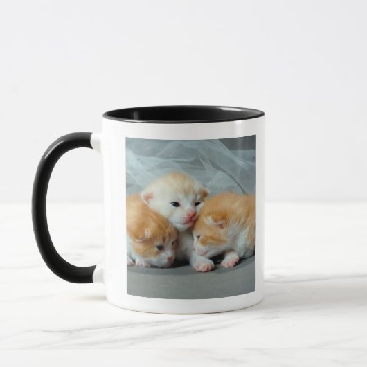 Sinaasappel Fur Kittens Mok (Links)