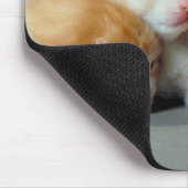 Sinaasappel Fur Kittens Muismat (Hoek)