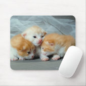 Sinaasappel Fur Kittens Muismat (Met muis)