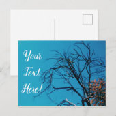Sinaasappel Gele Bladeren Boom Blauwe Lucht Ansich Briefkaart (Voorkant / Achterkant)
