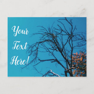 Sinaasappel Gele Bladeren Boom Blauwe Lucht Ansich Briefkaart