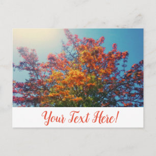 Sinaasappel Gele Bladeren Herfst Boom Ansichtkaart Briefkaart