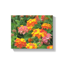 Sinaasappel & gele bloemen uitgerekt canvas print