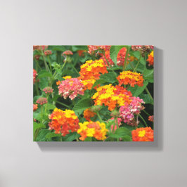 Sinaasappel & gele bloemen uitgerekt canvas print