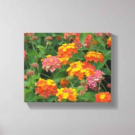 Sinaasappel & gele bloemen uitgerekt canvas print (Voorkant)