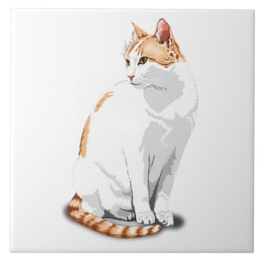 Sinaasappel Gember en Witte Kat Aangepast Tegeltje (Voorkant)