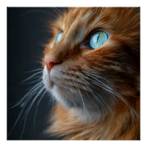 Sinaasappel Gember Tabby Kat Vintage Stijl Portret