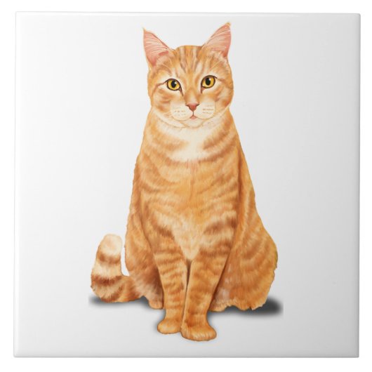 Sinaasappel Gember Tabby Tijger Kat Kwaliteit Tegeltje (Voorkant)