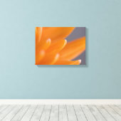 Sinaasappel Gerber Daisy Petals Canvas Afdruk (Insitu (Houten vloer))