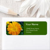 sinaasappel gerbera daisy adresetiketten etiket (Insitu)