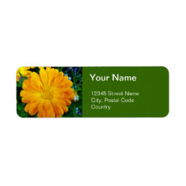 sinaasappel gerbera daisy adresetiketten etiket