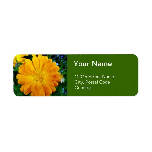 sinaasappel gerbera daisy adresetiketten etiket (Voorkant)