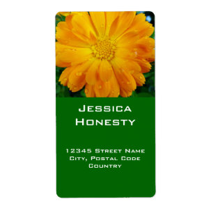 sinaasappel gerbera daisy adresetiketten etiket