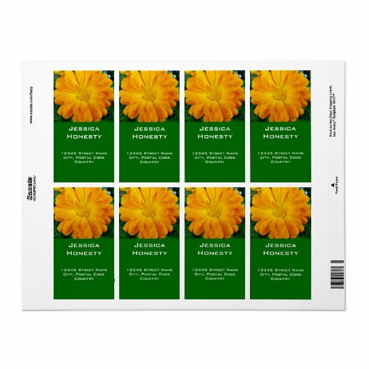 sinaasappel gerbera daisy adresetiketten etiket (Full Sheet)