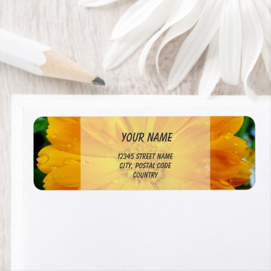 sinaasappel gerbera daisy adresetiketten etiket (Insitu)