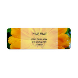 sinaasappel gerbera daisy adresetiketten etiket