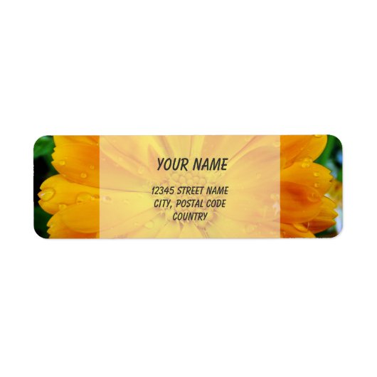 sinaasappel gerbera daisy adresetiketten etiket (Voorkant)