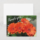  Sinaasappel Gerbera Daisy Foto Handgeschreven via Bedankkaart (Voorkant / Achterkant)