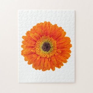 Sinaasappel Gerbera Daisy Legpuzzel