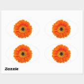 Sinaasappel Gerbera Daisy Ovale Sticker (Vel)