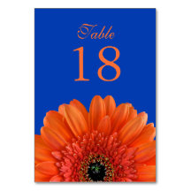 Sinaasappel Gerbera Daisy Royal Blue Bruiloft