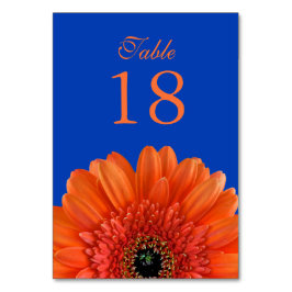 Sinaasappel Gerbera Daisy Royal Blue Bruiloft Kaart