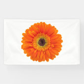 Sinaasappel Gerbera Daisy Spandoek (Horizontaal)