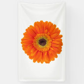 Sinaasappel Gerbera Daisy Spandoek (Verticaal)