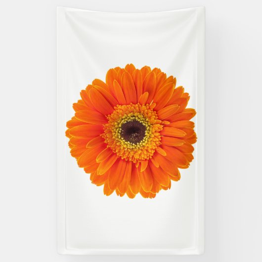 Sinaasappel Gerbera Daisy Spandoek (Verticaal)