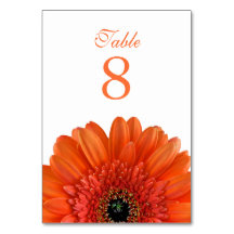 Sinaasappel Gerbera Daisy Wit Bruiloft