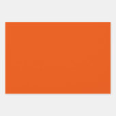 Sinaasappel, goudsbloem, zilver & platina burst inpakpapier vel (Voorkant 2)