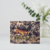 Sinaasappel Guana Kunst Briefkaart (Staand voorkant)