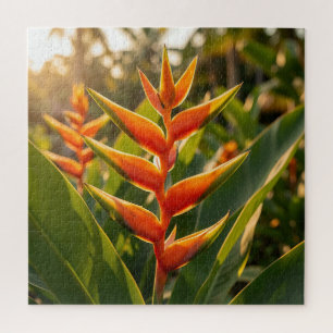 Sinaasappel Heliconia Tropische Bloem Gouden Uur  Legpuzzel