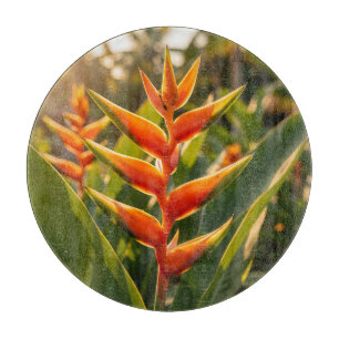 Sinaasappel Heliconia Tropische Bloem Gouden Uur  Snijplank
