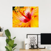 Sinaasappel Hibiscus Bloem Zijaanzicht 30x24