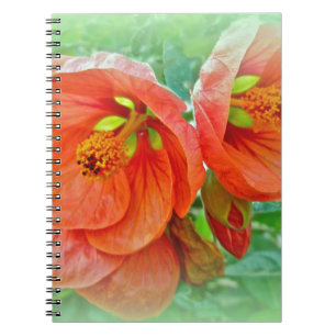 Sinaasappel Hibiscus Flowers Notitieboek