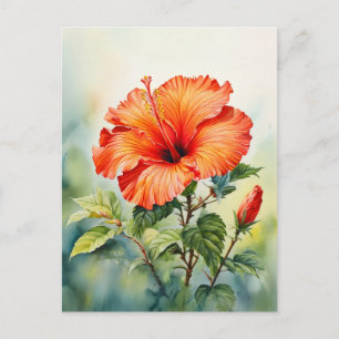 Sinaasappel Hibiscus Waterverf Bloem Aangepaste Be Briefkaart