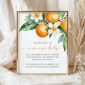 Sinaasappel Hoe groot is het buik Baby shower spel Poster