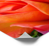 Sinaasappel in Bunches Poster (Hoek)
