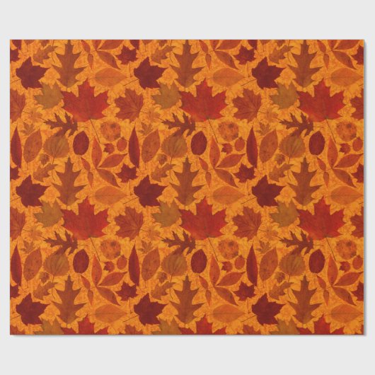 Sinaasappel in het najaar cadeaupapier (Vlak)