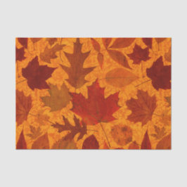 Sinaasappel in het najaar tissuepapier